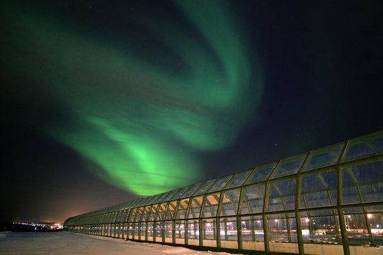 Centro científico Arktikum